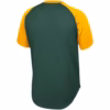 Green Bay Packers Mitchell & Ness Final Second Mesh Raglan V-Neck T-Shirt