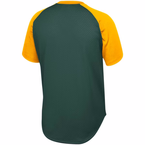 Green Bay Packers Mitchell & Ness Final Second Mesh Raglan V-Neck T-Shirt